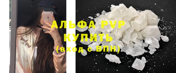 СК Новозыбков