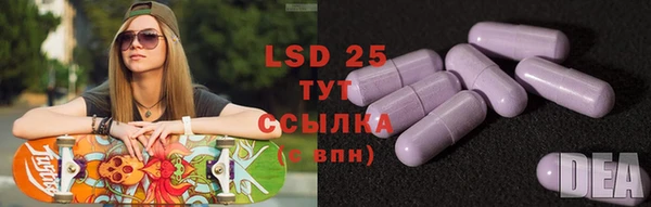 a pvp Новодвинск