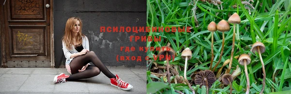 молекула духа Новокубанск