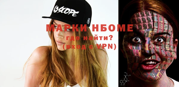 СК Новозыбков