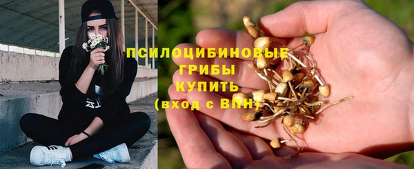 a pvp Новодвинск