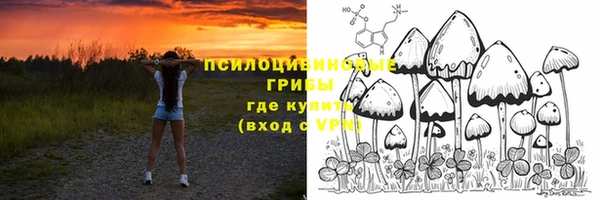 a pvp Новодвинск