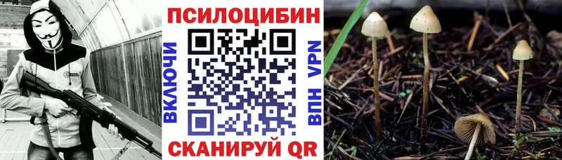 Псилоцибиновые грибы MAGIC MUSHROOMS Боровичи