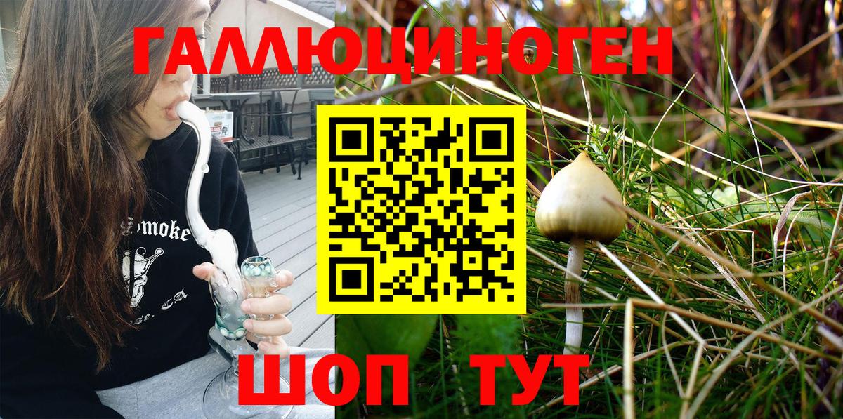 Псилоцибиновые грибы Cubensis Боровичи