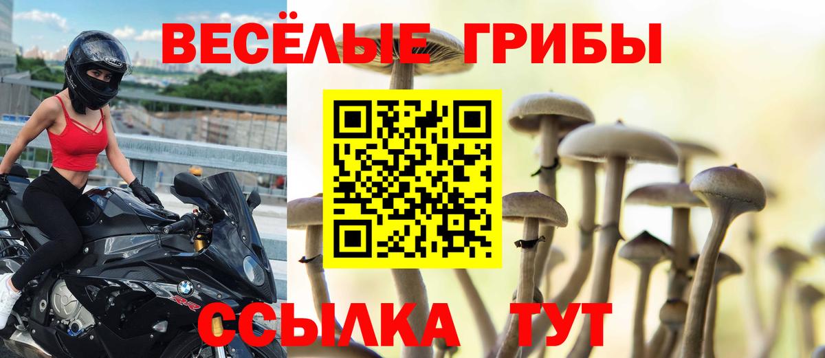 Галлюциногенные грибы GOLDEN TEACHER  Боровичи 